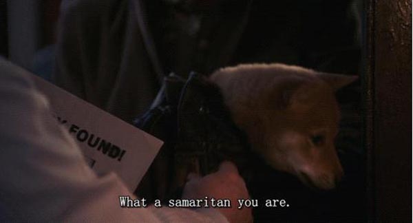 忠犬八公的故事6.jpg?v=2