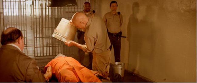 人体蜈蚣37.jpg?v=2