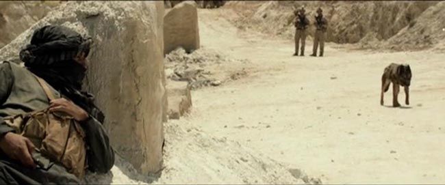 军犬麦克斯/海军忠犬9.jpg?v=2