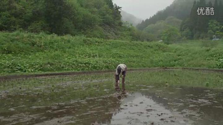 小森林 冬春篇11.jpg?v=2