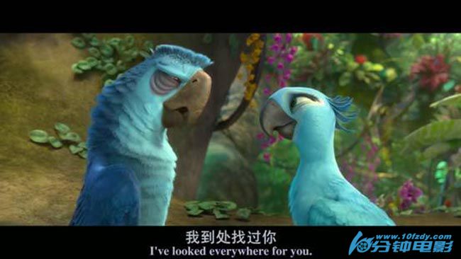 里约大冒险27.jpg?v=2