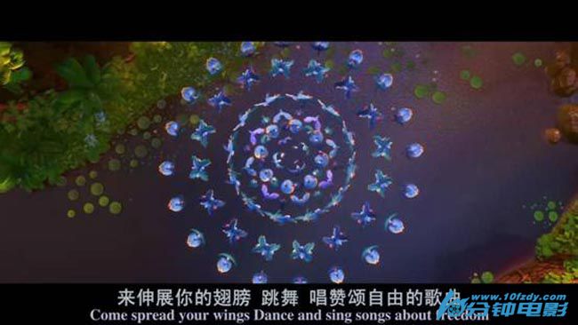 里约大冒险29.jpg?v=2