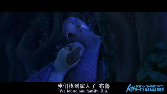 里约大冒险210.jpg?v=2