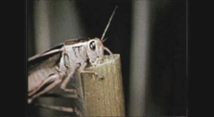 慢性折磨呕吐室5.jpg?v=2