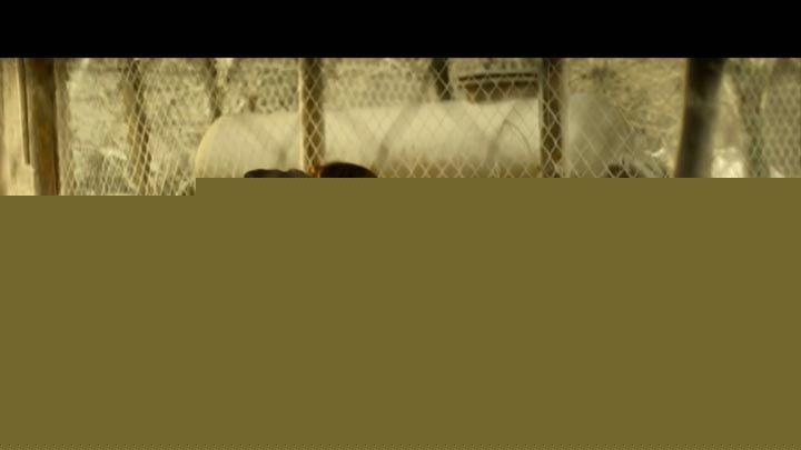 灭绝：丧尸屠城12.jpg?v=2