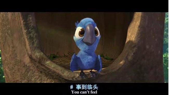 里约大冒险11.jpg?v=2