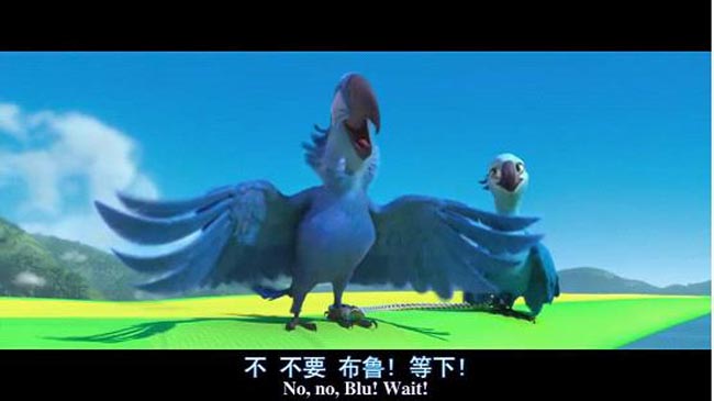 里约大冒险112.jpg?v=2