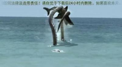 变种章鲨1.jpg?v=2