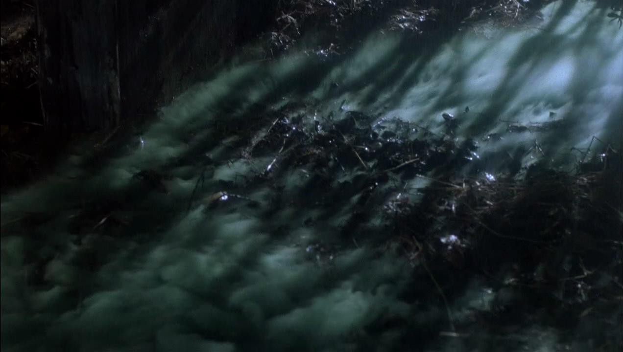 活死人归来26.jpg?v=2