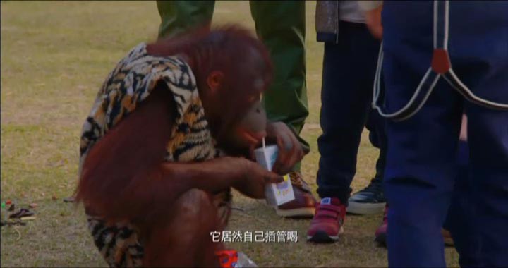 爸爸去哪儿7.jpg?v=2