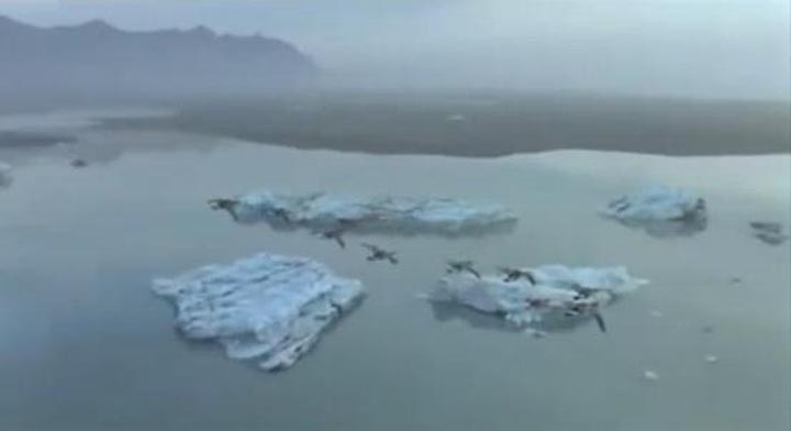 迁徙的鸟12.jpg?v=2