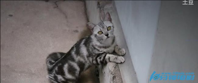 甜蜜十八岁8.jpg?v=2