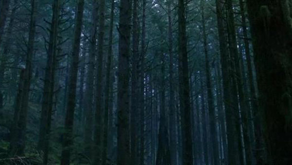 猩球崛起2黎明之战2.jpg?v=2