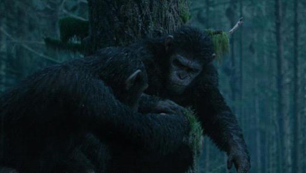 猩球崛起2黎明之战3.jpg?v=2