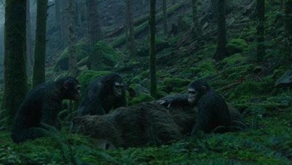 猩球崛起2黎明之战4.jpg?v=2