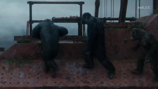 猩球崛起2黎明之战11.jpg?v=2