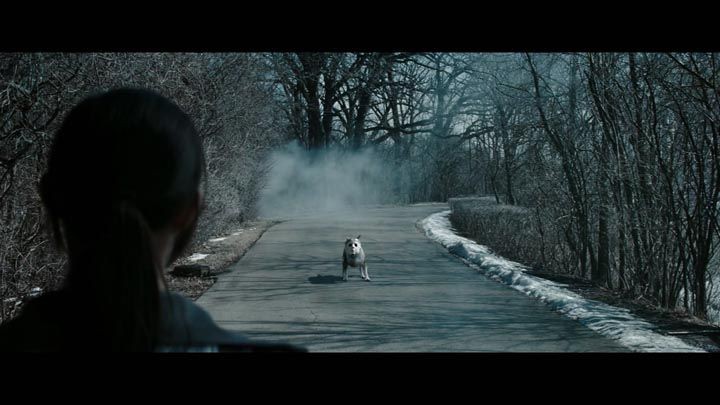 婴灵恶泣2.jpg?v=2