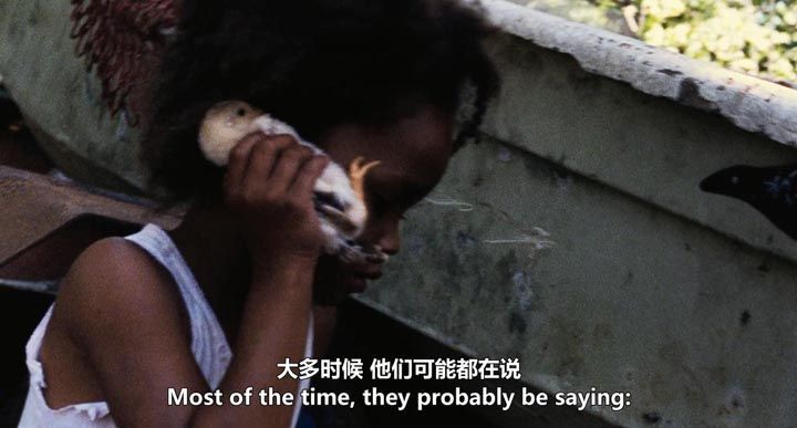 南国野兽2.jpg?v=2