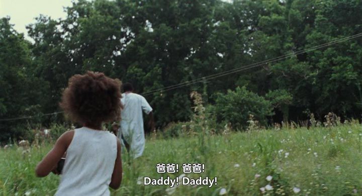 南国野兽6.jpg?v=2