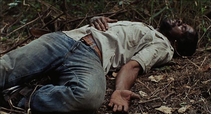 南国野兽8.jpg?v=2