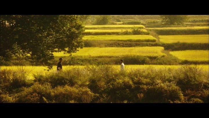 长寿商会2.jpg?v=2