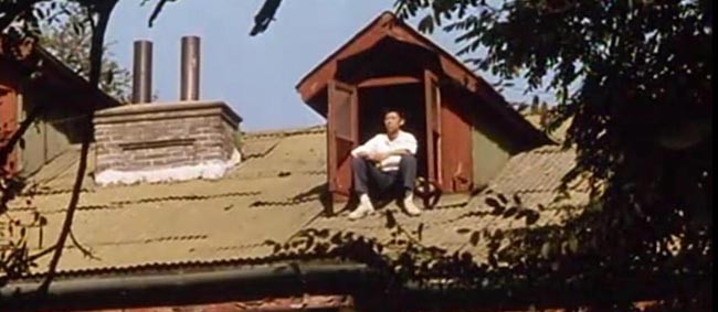 阳光灿烂的日子6.jpg?v=2