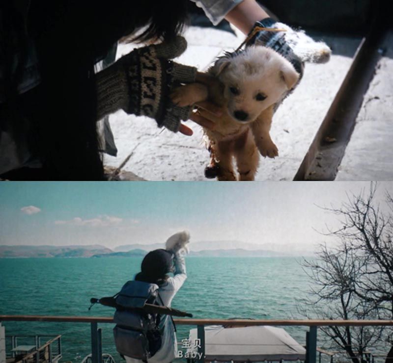 心花路放11.jpg?v=2