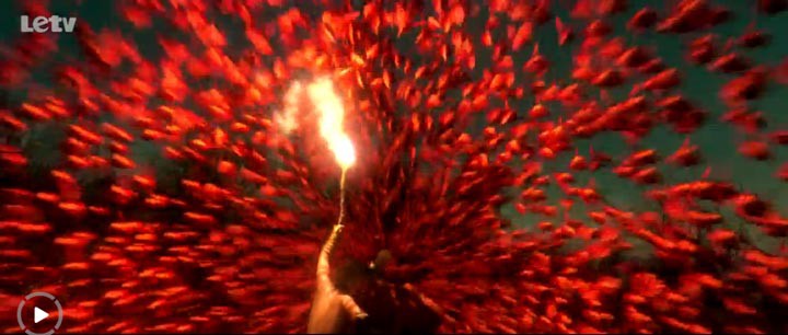 疯狂原始人8.jpg?v=2