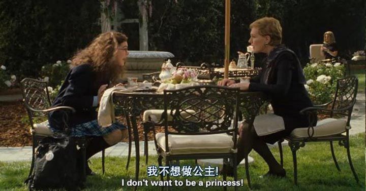 公主日记4.jpg?v=2