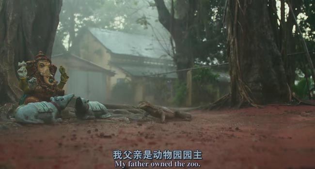 少年派的奇幻漂流1.jpg?v=2