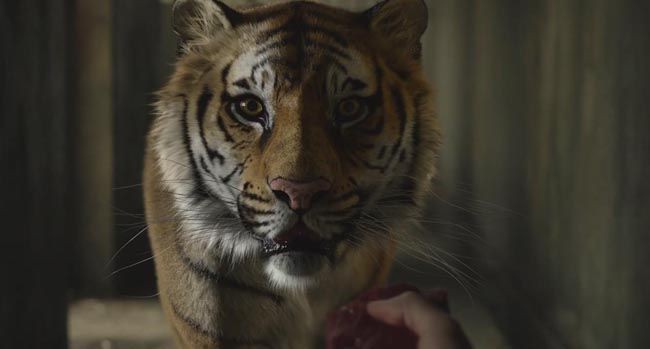 少年派的奇幻漂流5.jpg?v=2