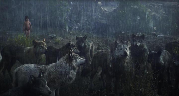 奇幻森林9.jpg?v=2