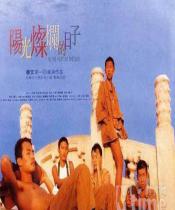 阳光灿烂的日子